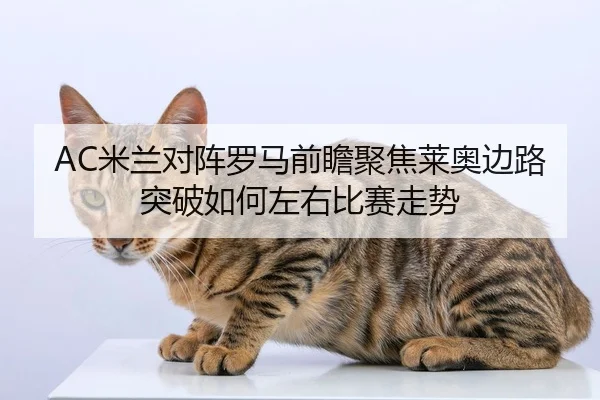 AC米兰对阵罗马前瞻聚焦莱奥边路突破如何左右比赛走势